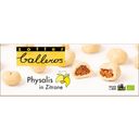 Zotter Schokolade Organic Balleros - Physalis in Lemon - 100 g