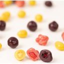 Zotter Schokoladen Balleros Bio - Frutas Crujientes - 100 g
