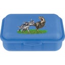 Lunch Box s potiskem, Dinosaurus