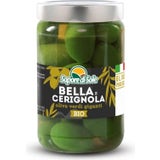 Sapore di Sole Bio Bella di Cerignola olivy