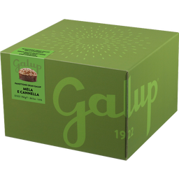 Panettone Gran Galup con Manzana y Canela - 750 g