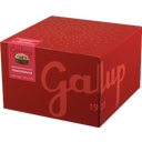 Panettone Gran Galup Traditioneel - 750 g