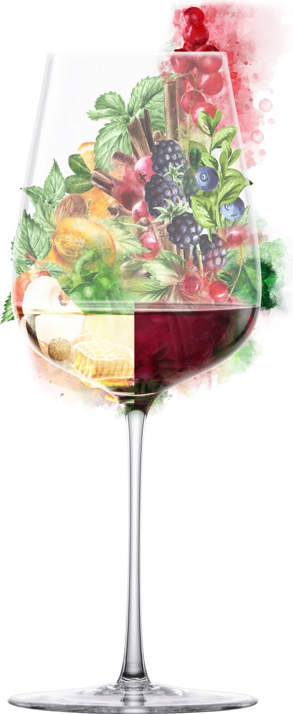 Lot de 2 Verres à Vin Polyvalents 
