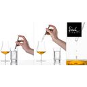Whiskey Gift Set - Malt Whiskey Unity Sensis Plus with Water Glass & Pipette - 1 Set