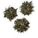 tea exclusive Bio Lu Mu Dan zielona herbata, puszka - 50 g