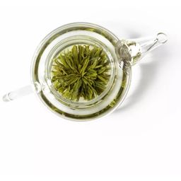 tea exclusive Bio zeleni čaj Lu Mu Dan, pločevinka - 50 g