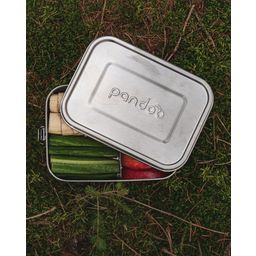 pandoo Lunchbox van Roestvrij Staal - 800 ml