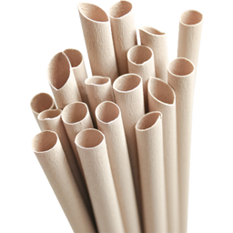 pandoo Disposable Bamboo Straws, 21 cm  - 50 Pieces