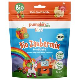 Pumpkin Organics Bio Zaubermix Fruchtchips - 12 g