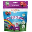 Pumpkin Organics Bio Beerenmix Fruchtchips
