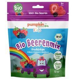 Pumpkin Organics Bio Beerenmix Fruchtchips - 12 g