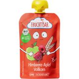 Organic Snack Pouch - Raspberry, Apple, Whole Grains