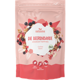 oatsome Crunchy Topping - Bio Die Beerenbande